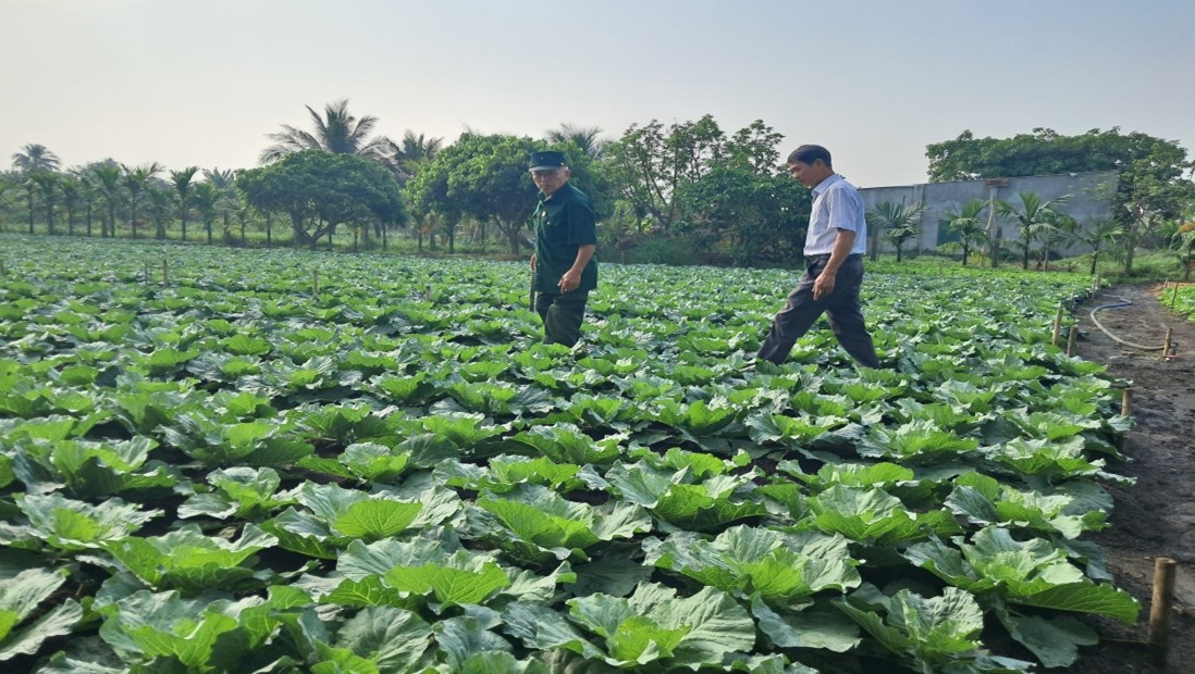 Hội Cựu chiến binh xã Ea Phê thực hiện công tác kiểm tra